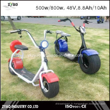 Hot Sale Scooter électrique Coco City 800W, 48V, 8.8ah avec 2 roues pour adultes